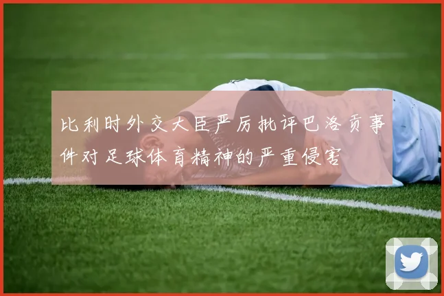 比利时外交大臣严厉批评巴洛贡事件对足球体育精神的严重侵害