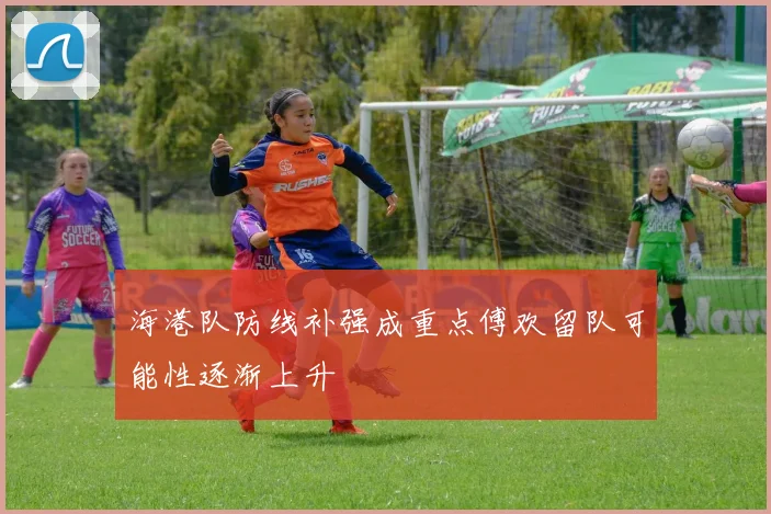 海港队防线补强成重点傅欢留队可能性逐渐上升
